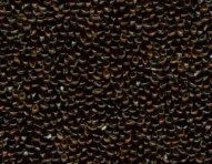 Black-Broom-Corn-Millet-5.jpg