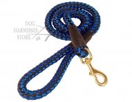blue-nylon-dog-leash-UK_LRG-ok.jpg