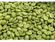 green_coffee_bean_extract_study-4.jpg
