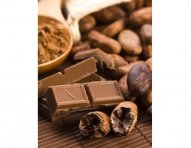 cocoa-cacao-beans-with-chocolate-10.jpg