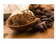 cacao-11.jpg