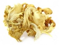 11506510-Dried-oyster-mushroom-over-white-background-Stock-Photo-9.jpg