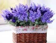 cod.081-artificial-flower.jpg