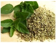 oregano-321037_640-5.jpg
