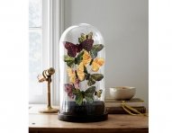 54eb61c2bbf1a_-_clx-crafts-faux-butterflies-1111-j6g7wc-xln-ok.jpg