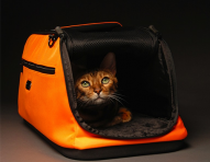 sleepypod-airline-approved-pet-carrier1-ok.png