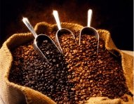 Organic_Coffee_Bean_Sack-4.jpg