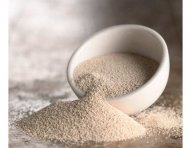 Fermentation-instant-yeast-for-bread-14.jpg