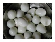CANNED-EGG-13.jpg