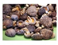 Shiitake2-1.jpg