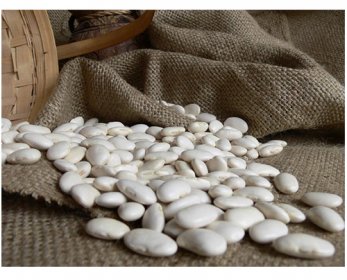 Bean & Preparation White-Kidney-Beans-3.jpg