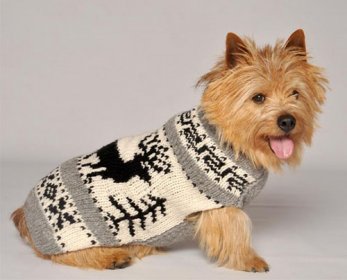 reindeer-shawl-1-720x555-ok.jpg