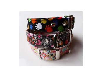 Pet Collars & Leashes images-1-ok.jpg