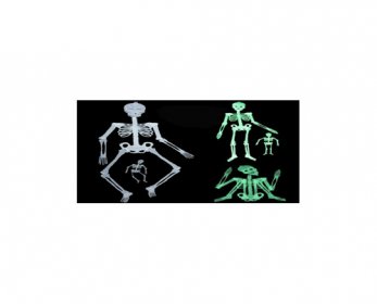 Glow Skull 90 cm for adult Halloween Party esqueleto.jpg