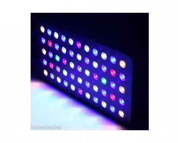 Aquariums & Accessories 35-ok.jpg
