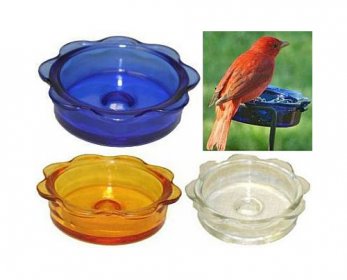 Pet Bowls & Feeders GlassDishGrp-1-ok.jpg