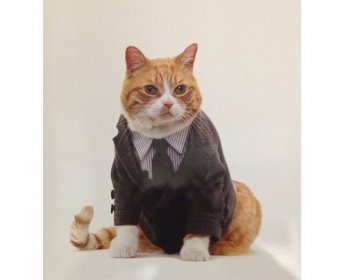united-bamboo-cat-calendar-4-ok.jpg