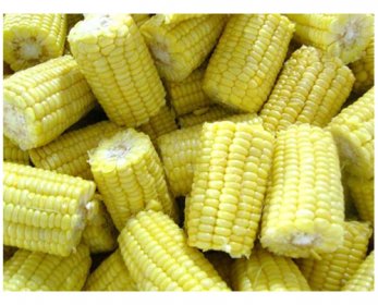Frozen Food frozen_sweet_corn-5.jpg