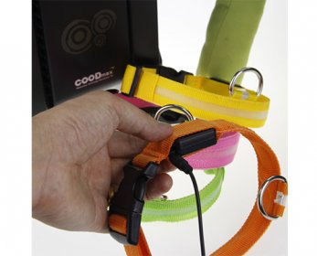 Pet Cleaning & Grooming Products 2015-Popular-Hotsell-New-Nylon-Pet-LED-USB-Rechargeable-Dog-Collars-and-Leashes-ok.jpg