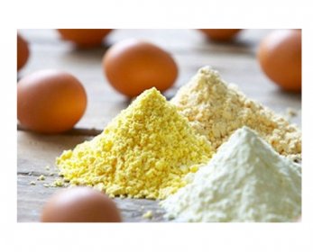 Egg Powder 2-lactosan-4.jpg
