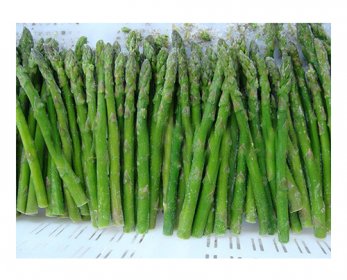 Frozen_Green_Asparagus_IQF-1.jpg