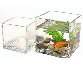 Aquariums & Accessories squarevases-ok.jpg