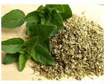 Origanum oregano-321037_640-5.jpg
