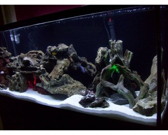 Aquariums & Accessories 0153abf6-3b3a-4034-85fe-fc4bbbd87fc4-ok.jpg