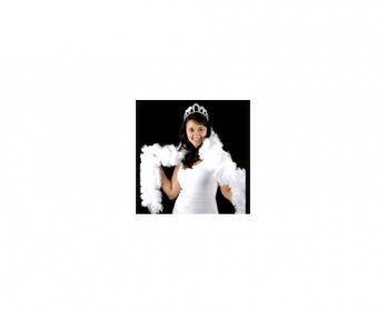 White Color Adult Fantasy Party pluma.jpg