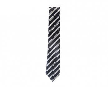Neck Ties 44.jpg