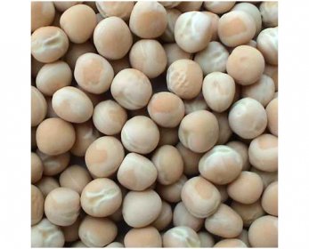 White pea whitepeas_large-2.jpg