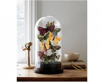 Home Decoration 54eb61c2bbf1a_-_clx-crafts-faux-butterflies-1111-j6g7wc-xln-ok.jpg