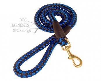 Pet Collars & Leashes blue-nylon-dog-leash-UK_LRG-ok.jpg
