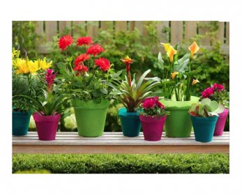 Garden Supplies 7.jpg