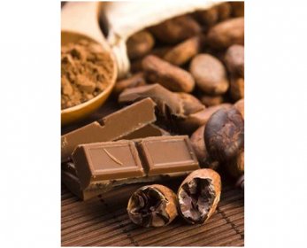 Cocoa beans cocoa-cacao-beans-with-chocolate-10.jpg