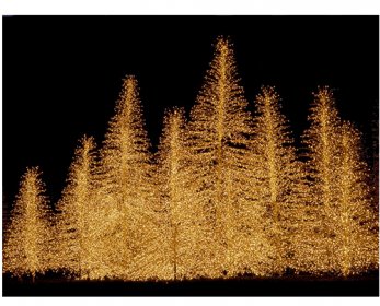 Artificial Christmas Trees christmas-32-ok.jpg