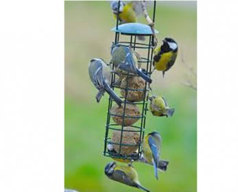 Pet Bowls & Feeders images-1-ok.jpg