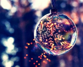 Christmas Tree Decorations tumblr_mwimmgbxmx1rxwjzho1_500-okk.jpg