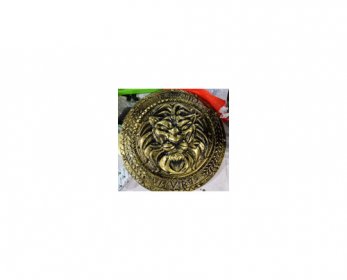 Plastic Shield for Adult Party Gold Color escudo-4.jpg