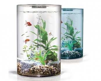 Aquariums & Accessories Aquarium-ok.jpg