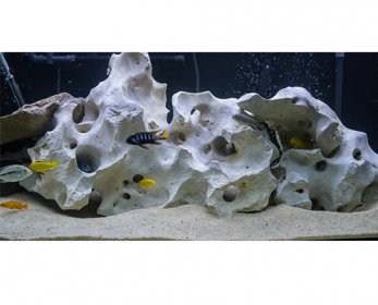Aquariums & Accessories dsc011_ee19816245-ok.jpg