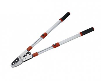 Garden Tools 15.jpg