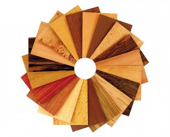 Structural Building Materials wood-veneer-ok.jpg