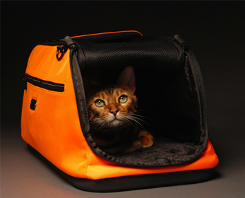 Pet Cages, Carriers & Houses sleepypod-airline-approved-pet-carrier1-ok.png