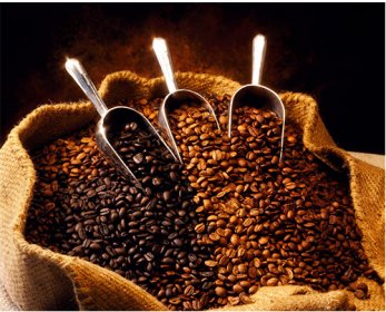 Cocoa, Coffee & Preparation Organic_Coffee_Bean_Sack-4.jpg