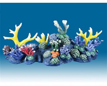 Aquariums & Accessories 66be134d6eb540363e906b5f4d20-ok.jpg