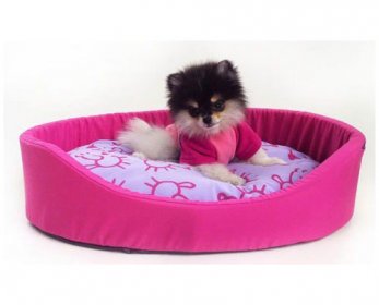 Pet Beds & Accessories cama-para-cachorros-caminha-almofadada-luxo-flex-p-13163-MLB20073268315_042014-O-ok.jpg