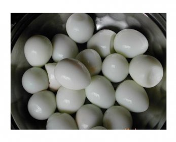 Canned Egg CANNED-EGG-13.jpg