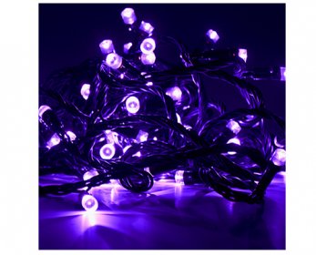 Holiday Lighting 5.jpg