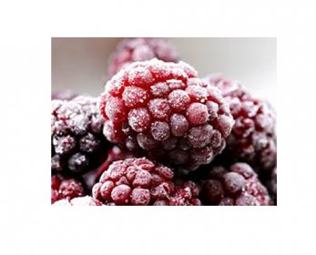 Frozen Food images-2.jpg